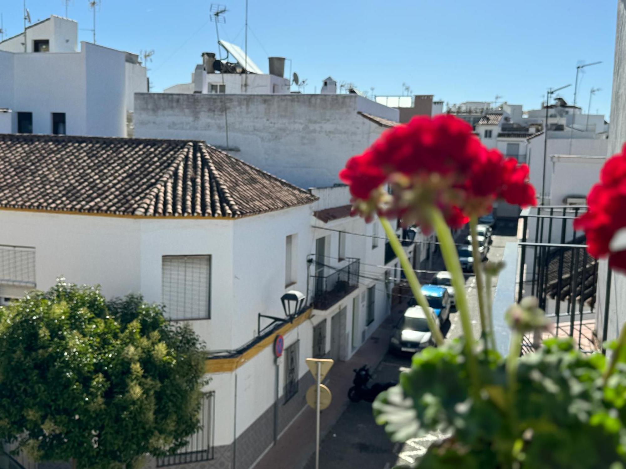 Encantadora Casa En El Corazon De Estepona Ngoại thất bức ảnh