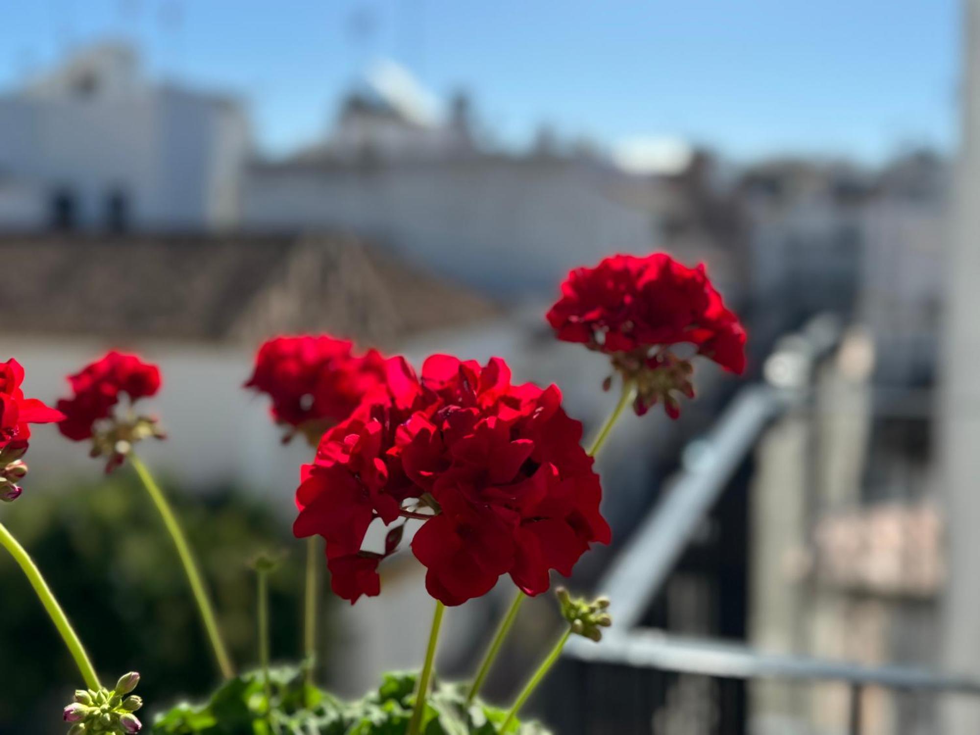 Encantadora Casa En El Corazon De Estepona Ngoại thất bức ảnh